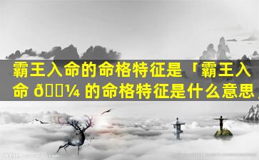 霸王入命的命格特征是「霸王入命 🌼 的命格特征是什么意思」